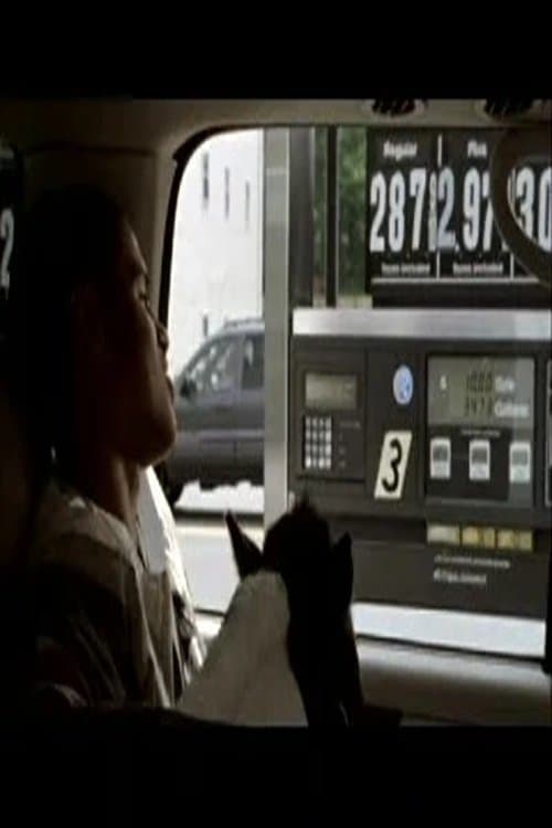 Force 1 TDのポスター