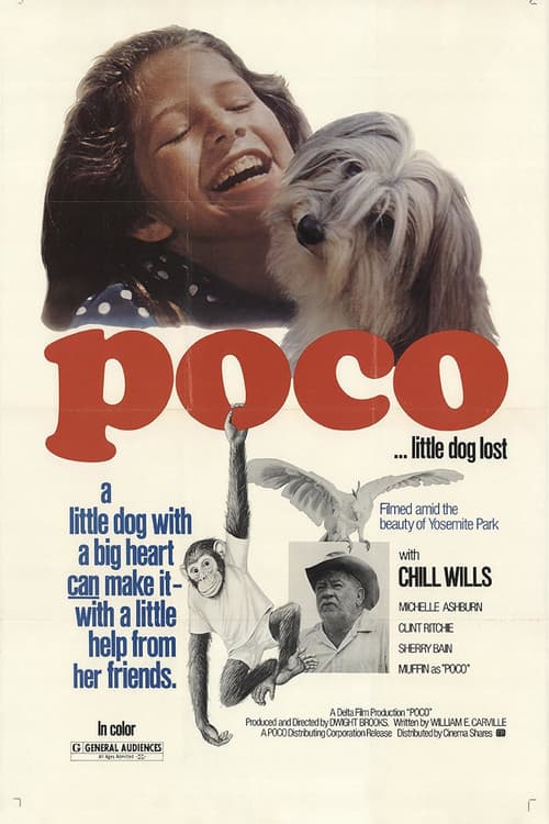Poco… Little Dog Lostのポスター