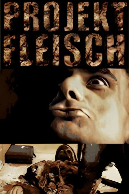 Projekt Fleischのポスター