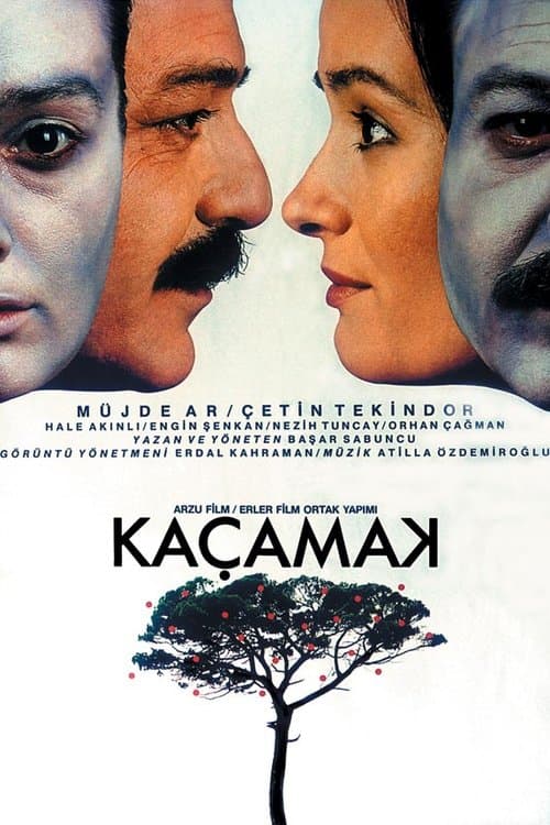 Kaçamakのポスター