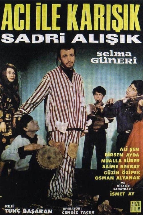 Acı ile Karışıkのポスター