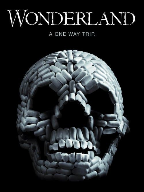 VIViDのポスター