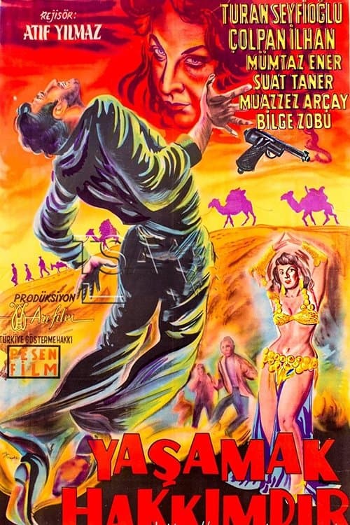 Yaşamak Hakkımdırのポスター