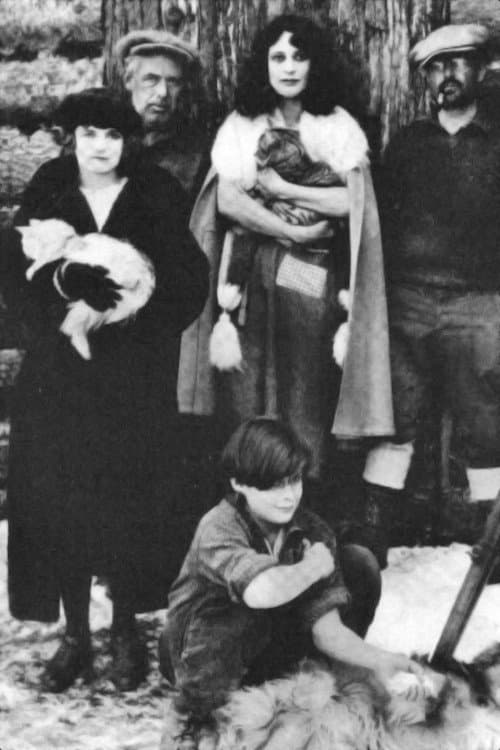 Trail of the North Windのポスター