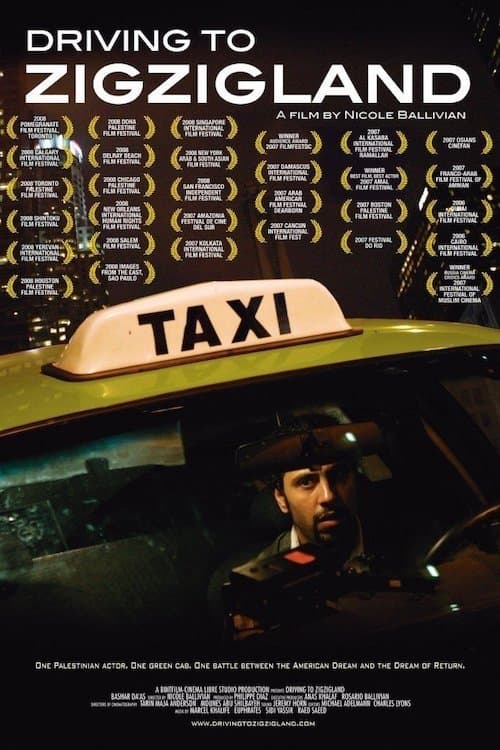 Driving to Zigziglandのポスター
