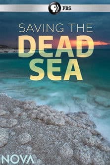 Saving the Dead Seaのポスター