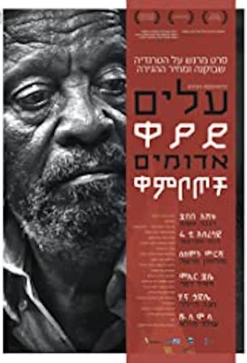 Red Leavesのポスター