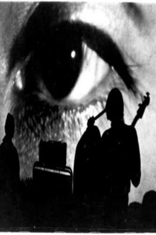 The Velvet Underground: Psychiatrist's Convention, NYC, 1966のポスター