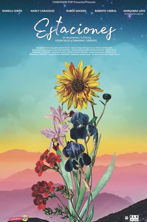 Estacionesのポスター