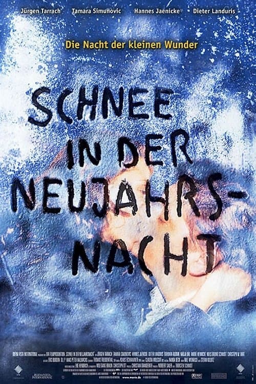 Schnee in der Neujahrsnachtのポスター