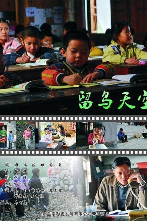 留鸟天空のポスター