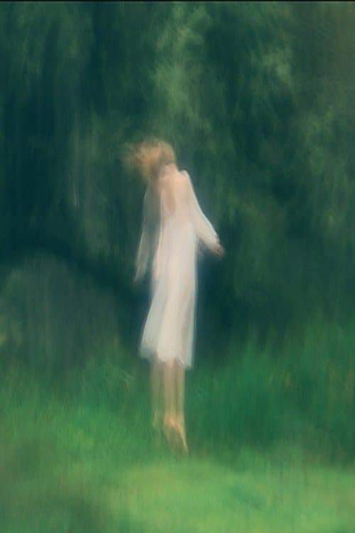 Angelus Novusのポスター