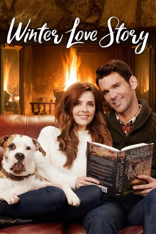 Winter Love Storyのポスター