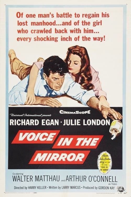 Voice in the Mirrorのポスター