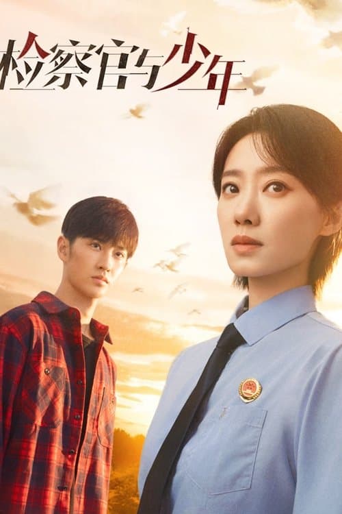 检察官与少年のポスター