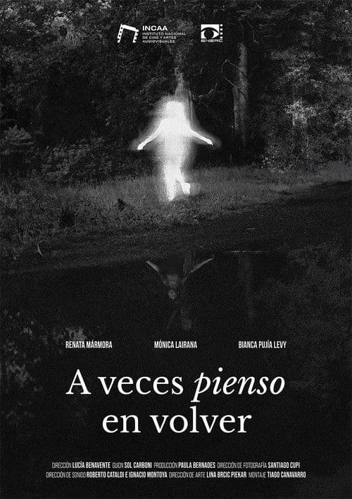 A veces pienso en volverのポスター