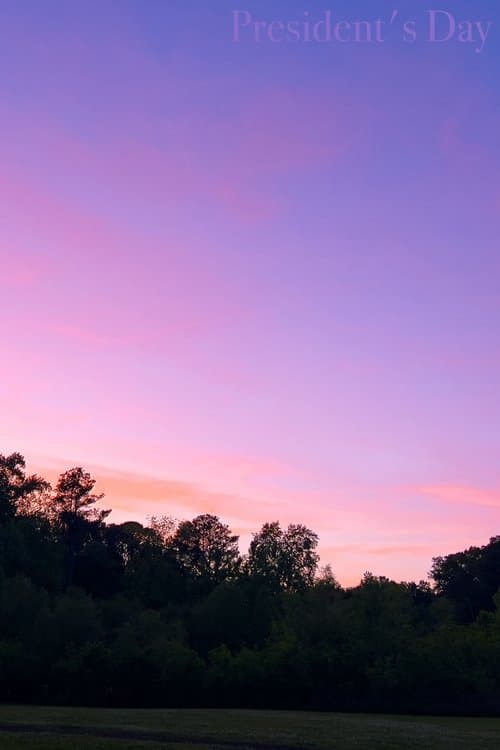 President's Dayのポスター