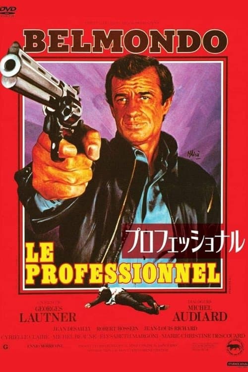 プロフェッショナルのポスター