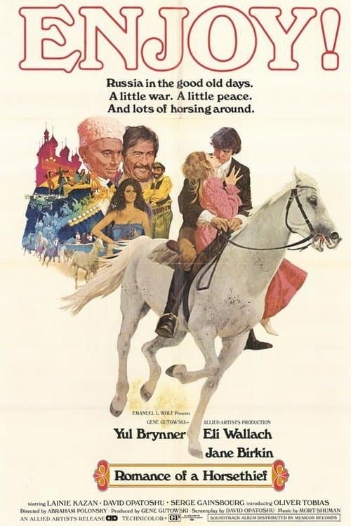 Le Roman d'un voleur de chevauxのポスター