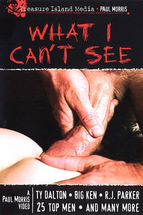 What I Can't Seeのポスター