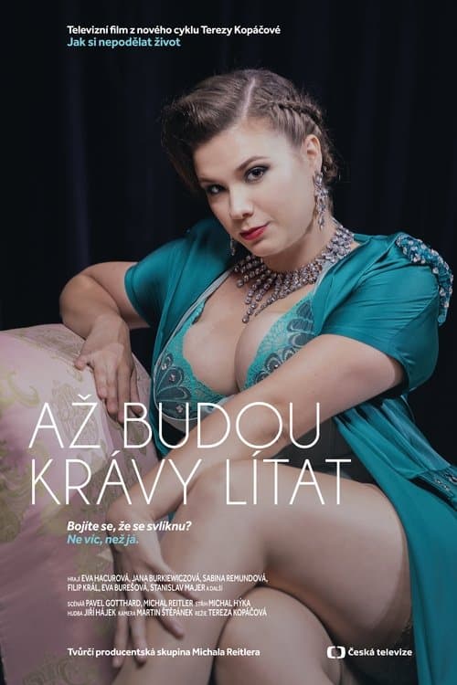 Jak si nepodělat životのポスター
