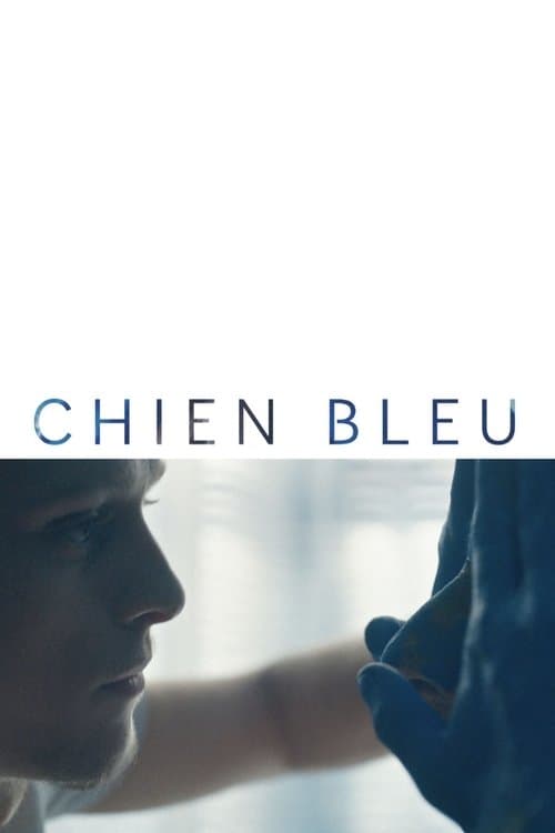 Chien bleuのポスター