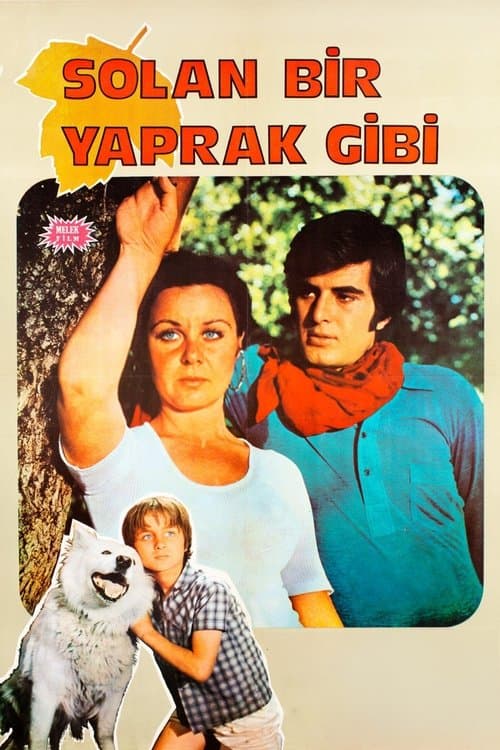 Solan Bir Yaprak Gibiのポスター