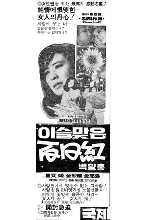 이슬맞은 백일홍のポスター