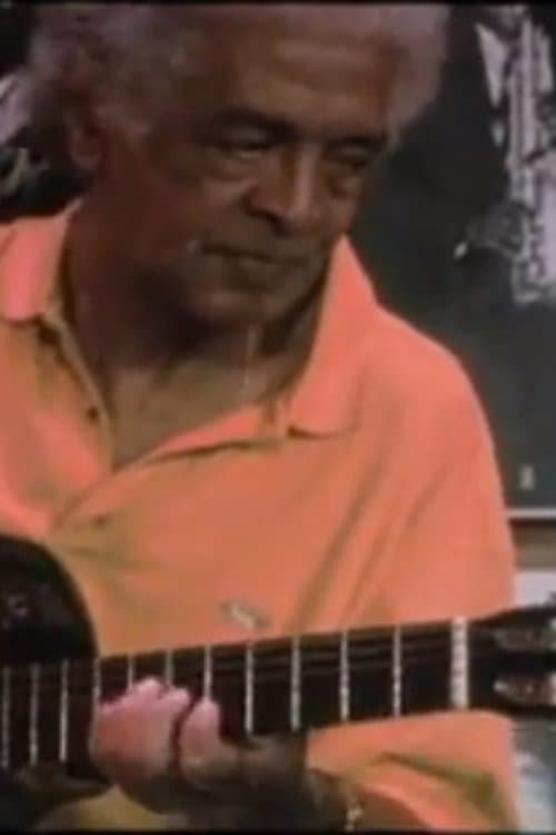 Descobrindo Waltelのポスター