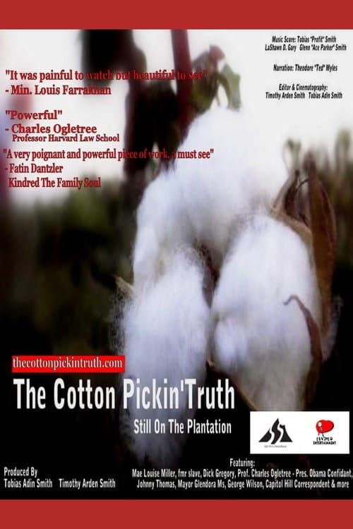 The Cotton Pickin Truth... Still on the Plantationのポスター