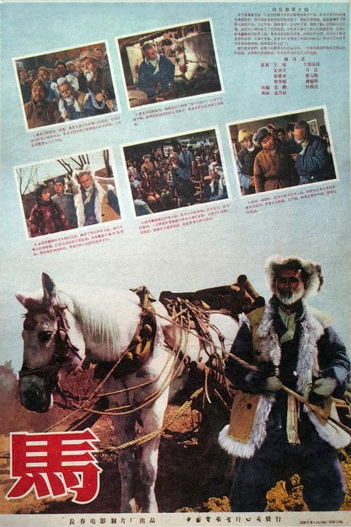 马のポスター
