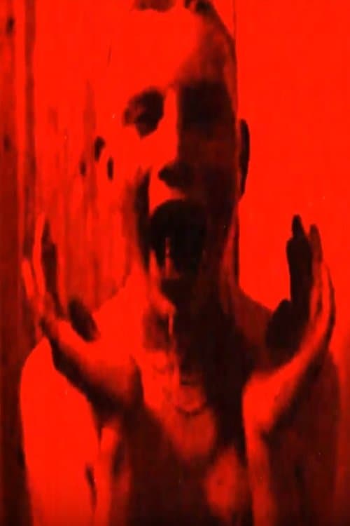 Savisiltaのポスター