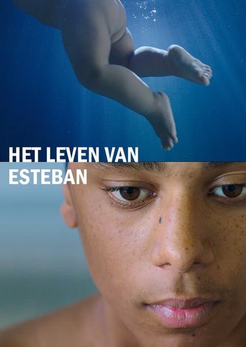 Het leven van Estebanのポスター