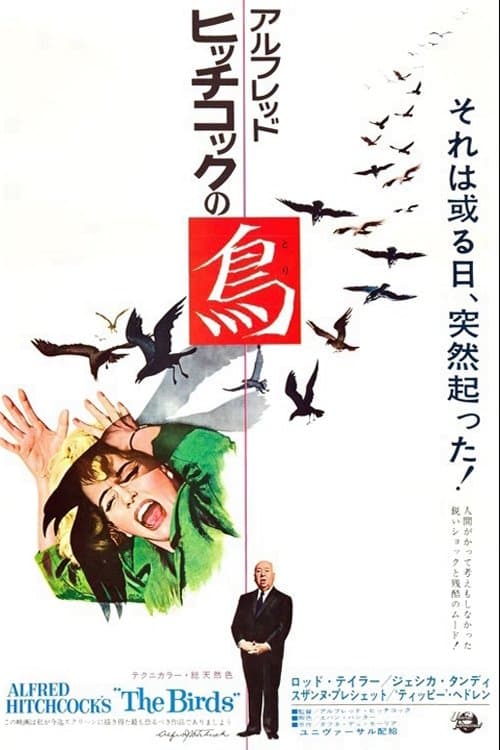鳥のポスター