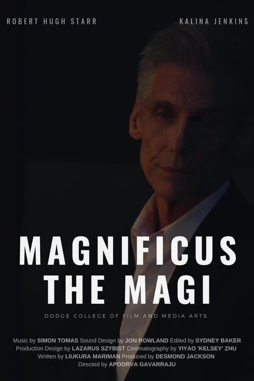 Magnificus the Magiのポスター