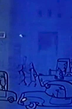 Top Catのポスター