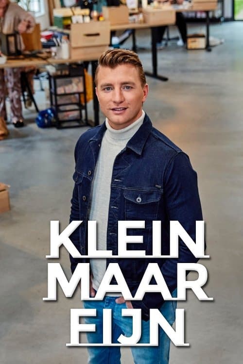 Klein maar fijnのポスター