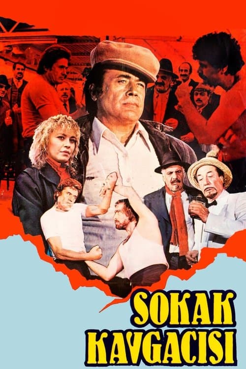 Sokak Kavgacısıのポスター