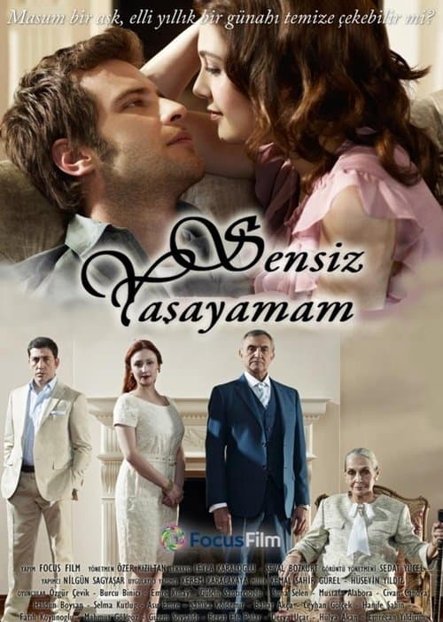 Sensiz Yaşayamamのポスター