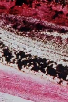 Retour d'enfanceのポスター