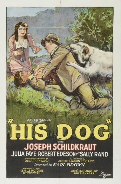His Dogのポスター