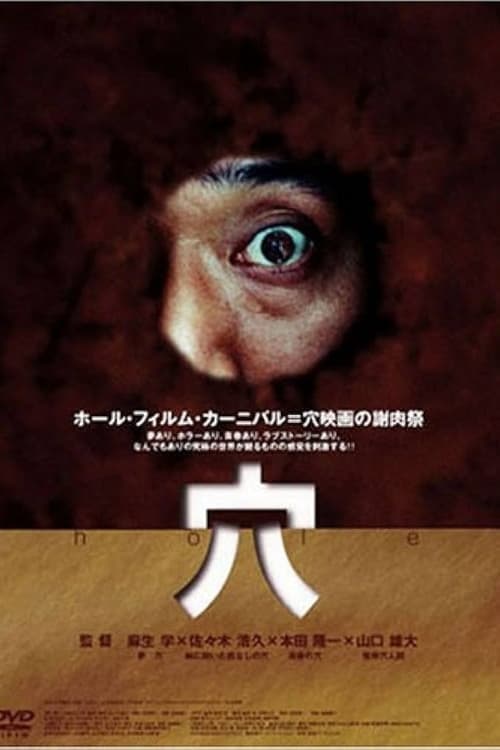 穴のポスター