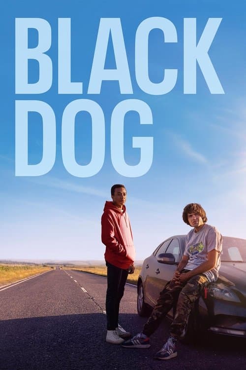 Black Dogのポスター