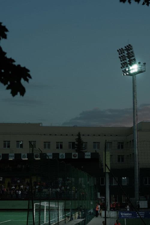 Budėjimasのポスター