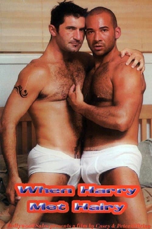 When Harry Met Hairyのポスター