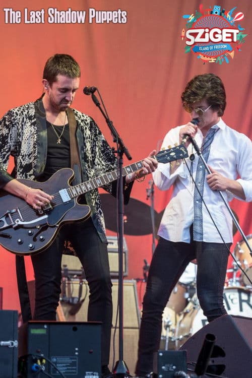 The Last Shadow Puppets at Sziget Festivalのポスター
