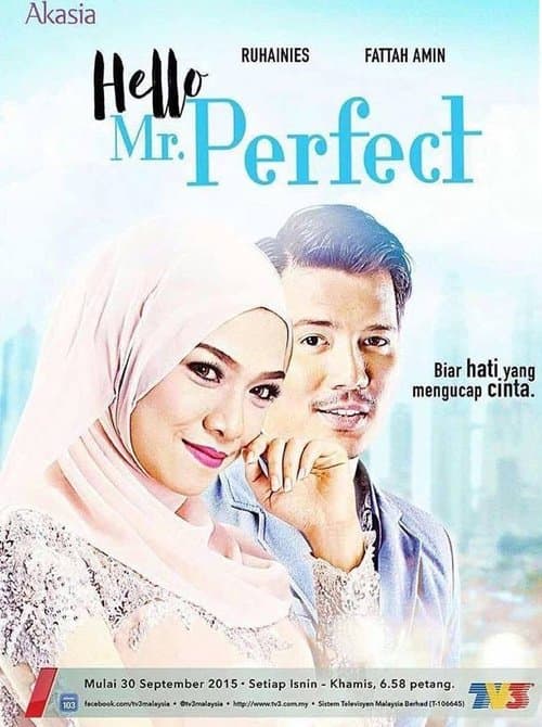 Hello, Mr. Perfect!のポスター