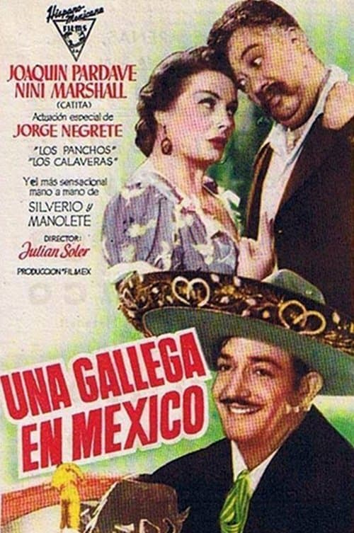 Una gallega en Méxicoのポスター