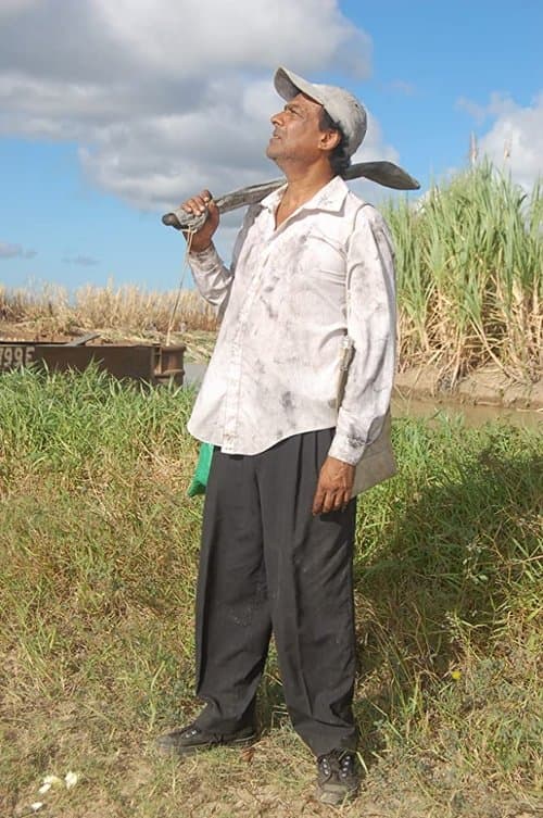 Brown Sugar Too Bitter for Meのポスター