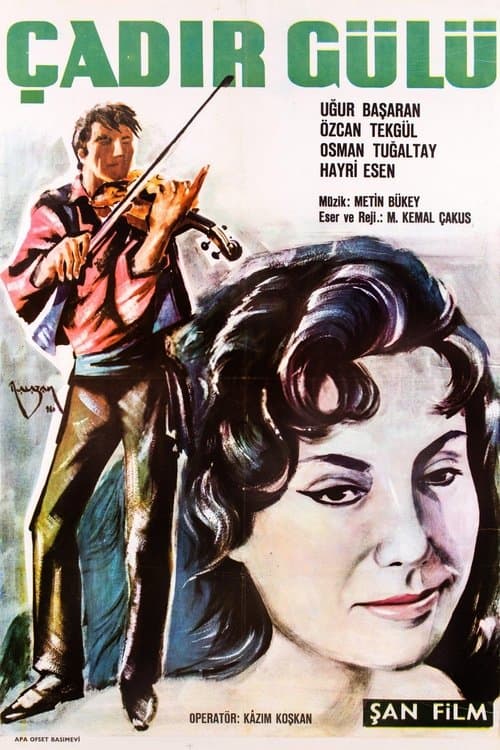 Çadır Gülüのポスター